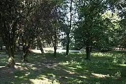 Old manor park in Salno