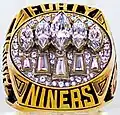 Super Bowl XXIX (San Francisco 49ers)