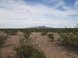 Picacho Peak from the ghost town of Sasco.
