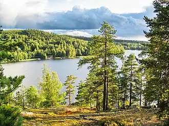 View from Hill Satasarvinen in Muuratsalo, Jyväskylä