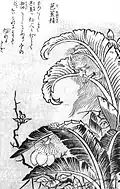 Bashō no sei (ja:芭蕉精, bashō spirit) is the spirit of a bashō that takes on a human form. It is originally described in a Song dynasty text entitled Can heartless plants also attain Buddhahood?, where it is known as the Bajiao Gui.[21][22]