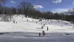 Dozens of people are sledding on a snow-coverd hill on a sunny day. There are trees behind the hill and flags on tall flagpoles at the right-hand side of the image.