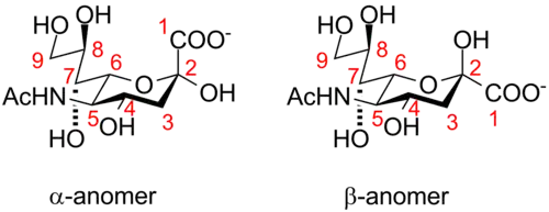 Neuraminic acid anomeric configuration