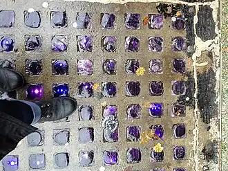 view down onto a sidewalk with vault lights; a slab of concrete with a regular grid of inset squares of slightly domed purple glass. Within each square, faint vertical lines can be seen through the glass, and points of light shining up through the glass are duplicated in horizontal lines of three points of light. Some yellow leaves have fallen on the damp concrete.