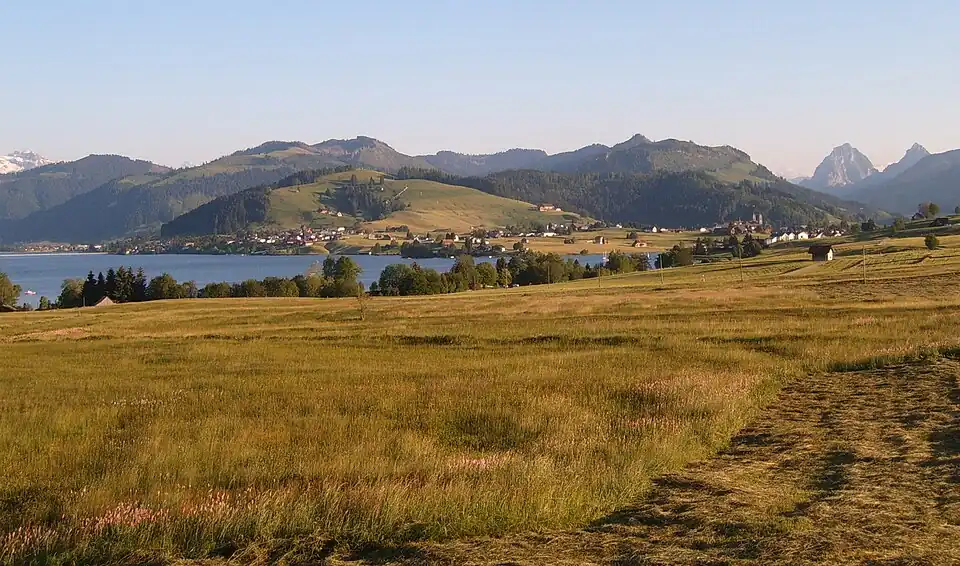 Image 49Northern shore meadows of Sihlsee, an artificial lake near Einsiedeln in the Canton of Schwyz, Switzerland. (Credit: Markus Bernet.) (from Portal:Earth sciences/Selected pictures)