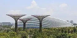 Gardens by the Bay