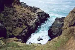 A view to the sea from the area around Slope Point
