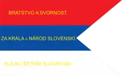 One of the more popular flags used by slovak volunteers during Slovak Uprising 1848. Flags from this period introduced blue color into the slovak flag for the first time, after the Slavic Congress. Used also as flag of Slovak National Council, (1848–1849)
