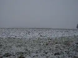 Snow-covered corn fields in Forest Township