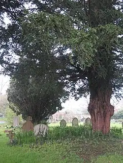 Memorials in the graveyard of St Lawrence's Church, North Hinksey