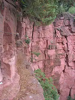 Climbing path at the Breuberg-Hainstadt quarry