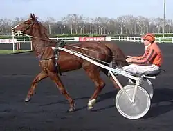 a powerful chestnut horse pulling white sulky with jockey