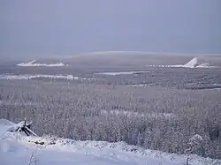 The taiga in the river valley near Verkhoyansk, Russia, at 67°N, experiences the coldest winter temperatures in the northern hemisphere, but the extreme continentality of the climate gives an average daily high of 22 °C (72 °F) in July
