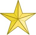 Texas Navy Lieutenant Cuff Insignia