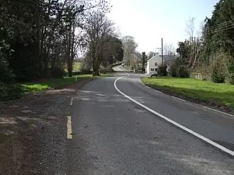 The R665 road Ireland.JPG