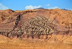 The paint of nature - panoramio