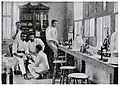The parasitology laboratory of Dr. Léon Audain, c. 1904, Haiti