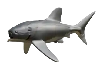 Titanichthys termieri