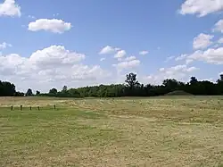 Towosahgy State Historic Site