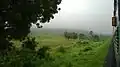 view from a passenger train in Palghat gap
