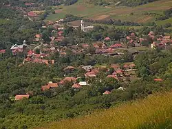 Treznea Village