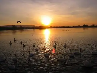 Tring Reservoirs at sunrise