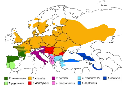 Map showing the parapatric distribution of Triturus in Eurasia