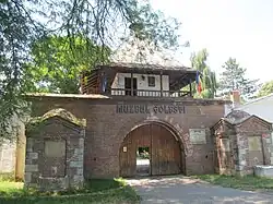 Gate tower at the Golești court