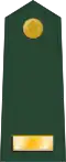 Second lieutenant