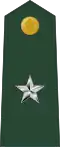Brigadier general