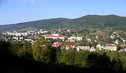 Ustrzyki Dolne panorama