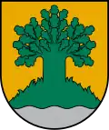 Coat of Arms of Valmiera Municipality