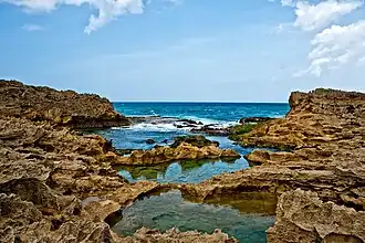 Tide pools located along the limestone rock formations.
