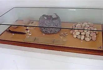 a glass display case containing stones and a pot