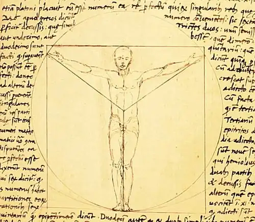 A "Vitruvian Man" prototype by Giacomo Andrea, 1490