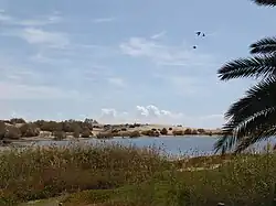 Bird sanctuary La Charca