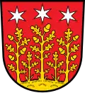 Coat of arms of Reichelsheim