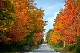 Fall color, October 20