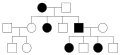 In an X-linked dominant disorder, if the father is affected, all daughters will be affected and no sons will be affected. It does not skip a generation, and the mother has a 50% chance of passing it on to her offspring if she is affected.