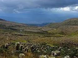 Wild camping on the Ocetá Páramo