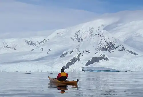 A kayaker watches whales in Wilhelmina Bay