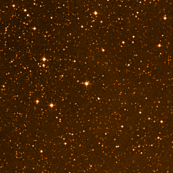Wolf 1061 and neighboring stars