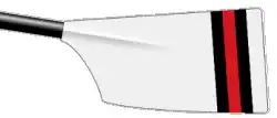Image showing the rowing club's blade colours