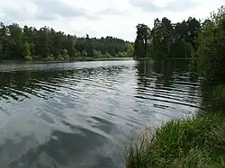 Rejów Lake
