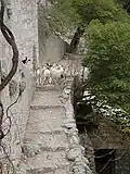 Monastery goat-breeding