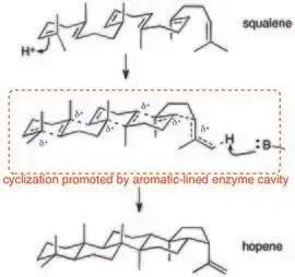 Cyclization of squalene to form hopene