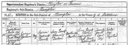 A birth certificate form dated 1891 containing hand-written information