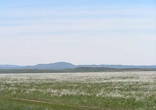 Estepa de la región este de Ayagoz, Kazajistán