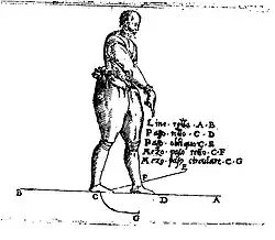 Desplazamiento y líneas de choque[7]​