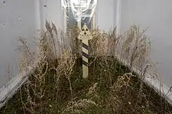 Pavel Otdelnov. Rio Techa. 2021. Instalación